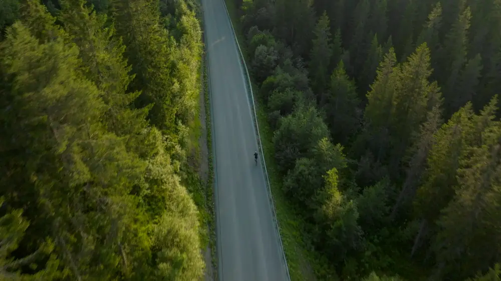 Flyfoto av en lang landevei gjennom skogen.
